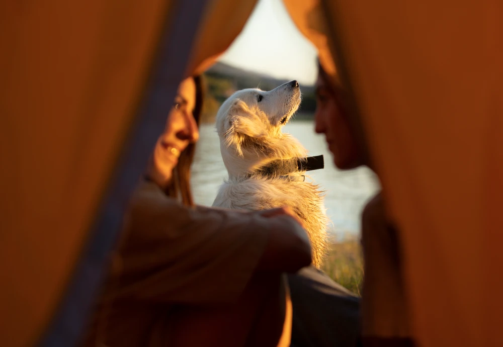 backyard teepee