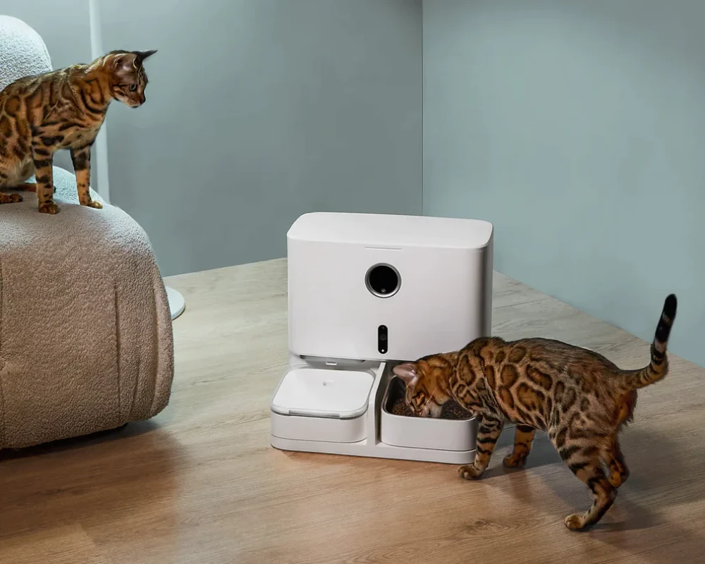 automatic pet feeder with camera